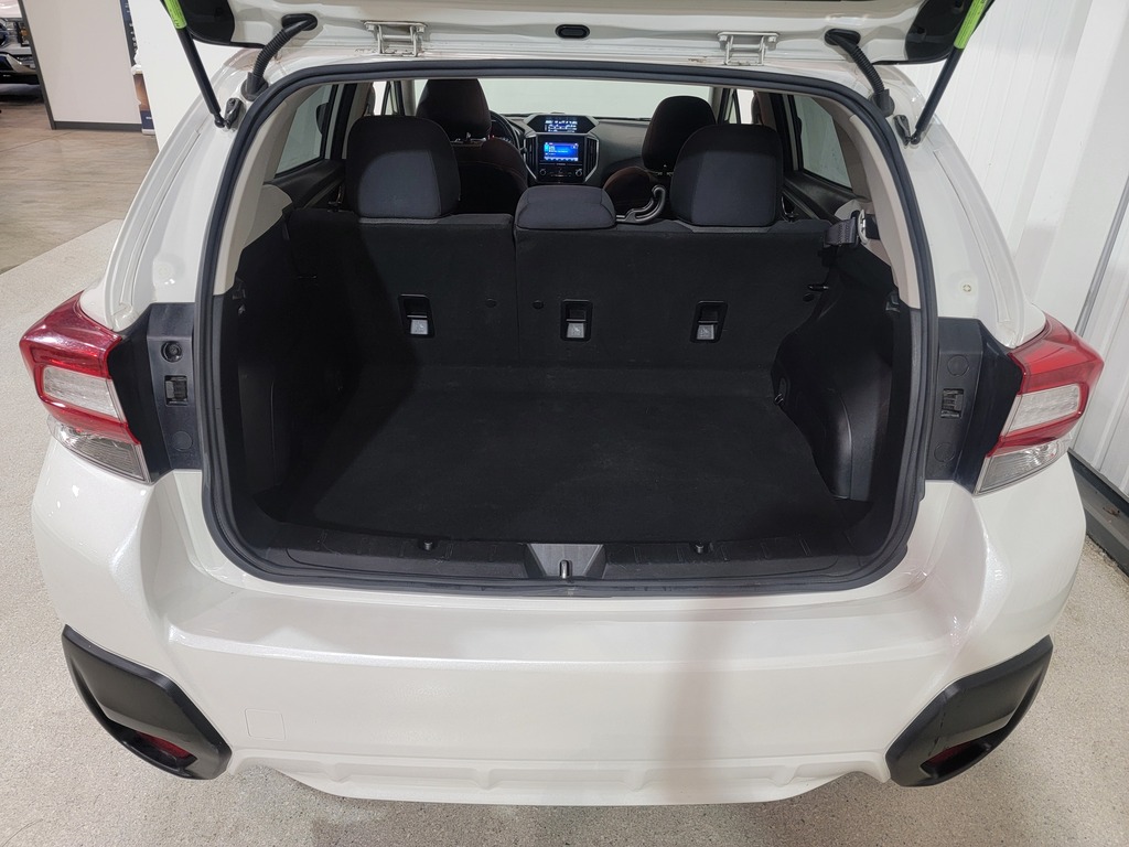 Subaru Crosstrek 2019 Subaru Crosstrek 2019