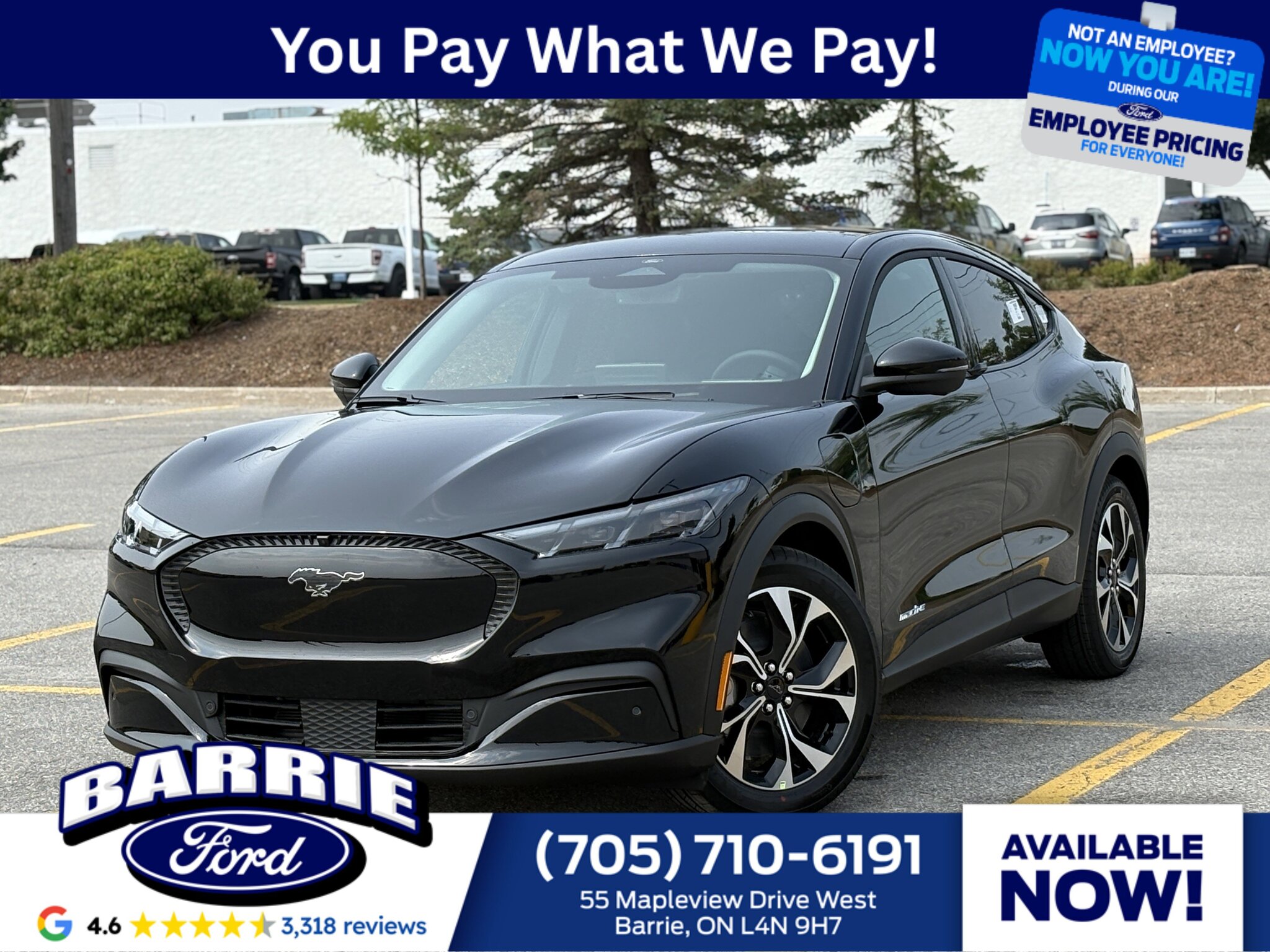 2025 Ford Mustang Mach-E