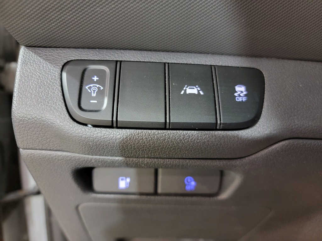 Hyundai Ioniq Electric 2020