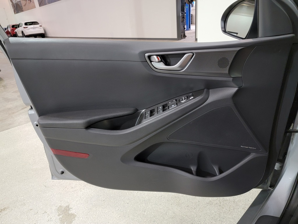 Hyundai Ioniq Electric 2020