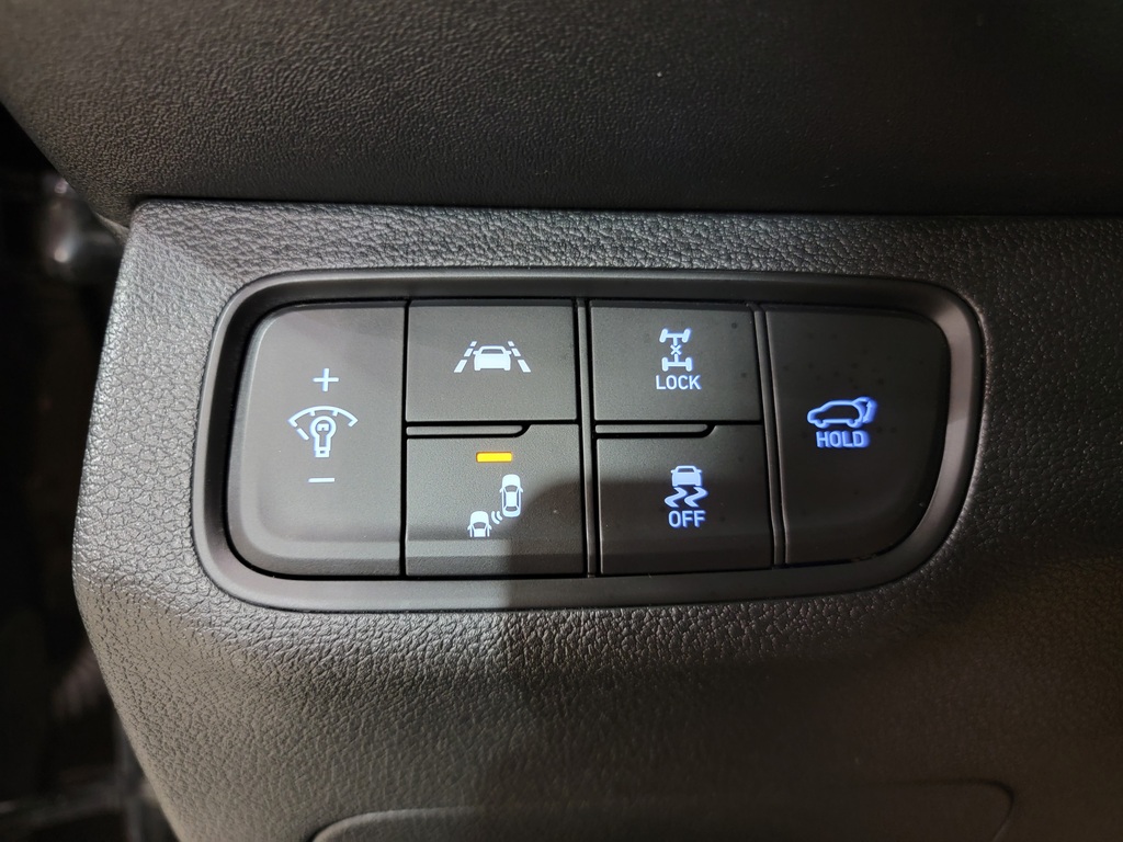 Hyundai Santa Fe 2019 Hyundai Santa Fe 2019