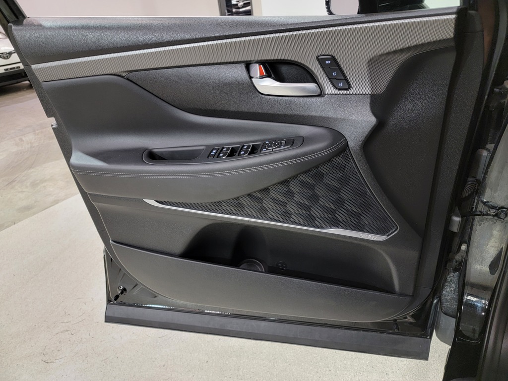Hyundai Santa Fe 2019 Hyundai Santa Fe 2019