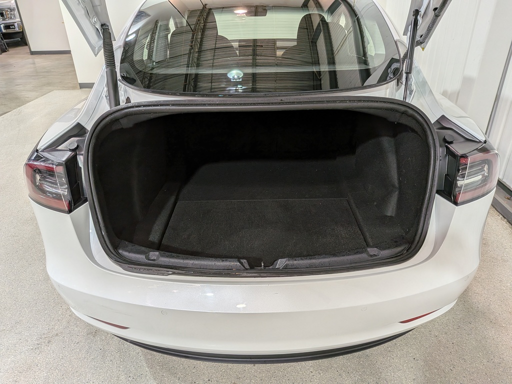 Tesla Model 3 2021 Tesla Model 3 2021