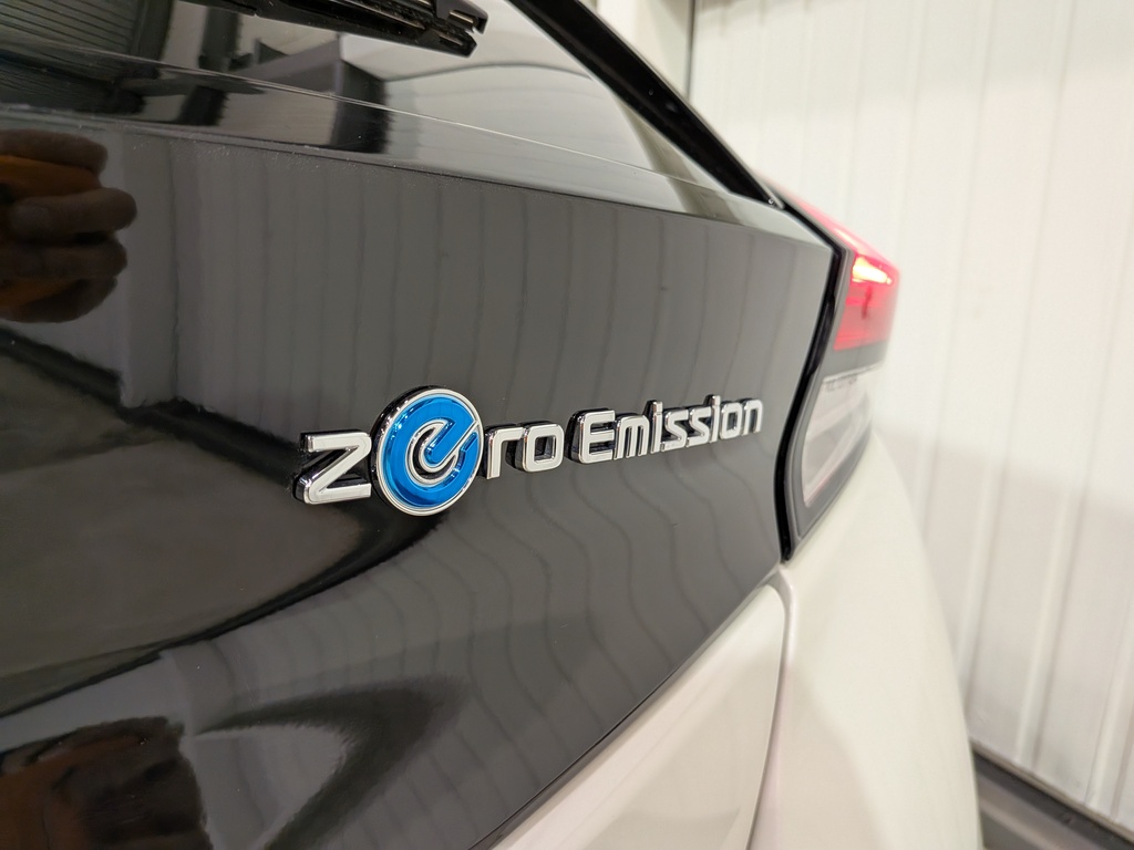 Nissan LEAF 2020 Nissan LEAF 2020