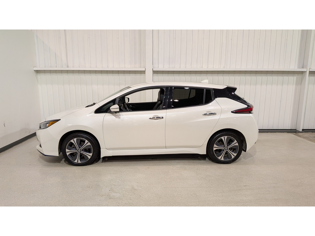 Nissan LEAF 2020 Nissan LEAF 2020