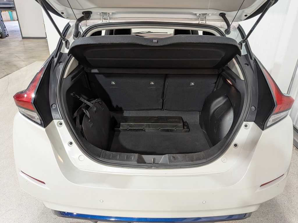 Nissan LEAF 2020 Nissan LEAF 2020