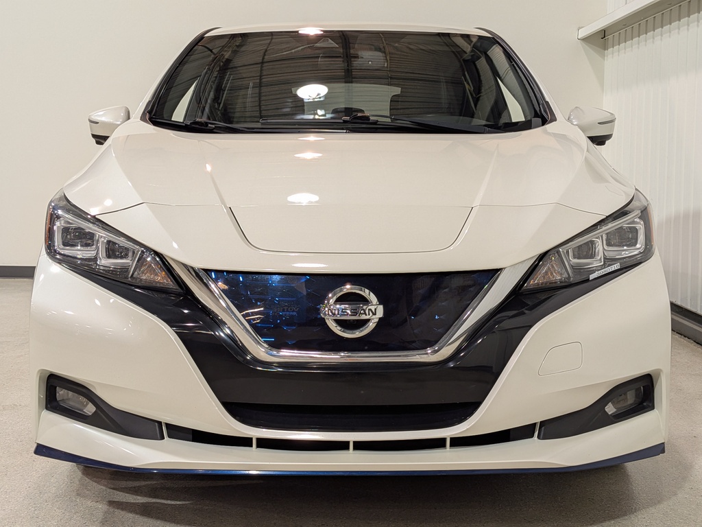 Nissan LEAF 2020 Nissan LEAF 2020