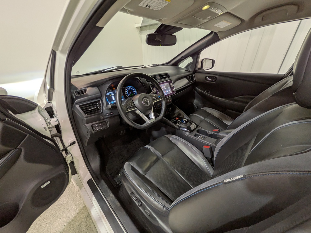 Nissan LEAF 2020 Nissan LEAF 2020