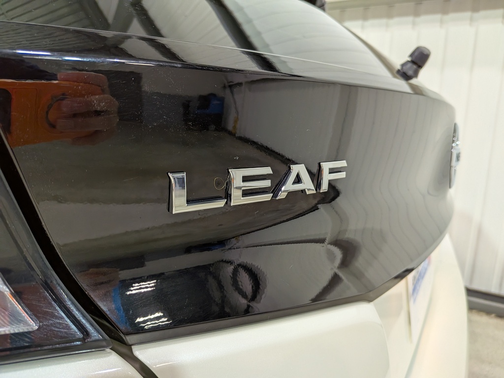 Nissan LEAF 2020