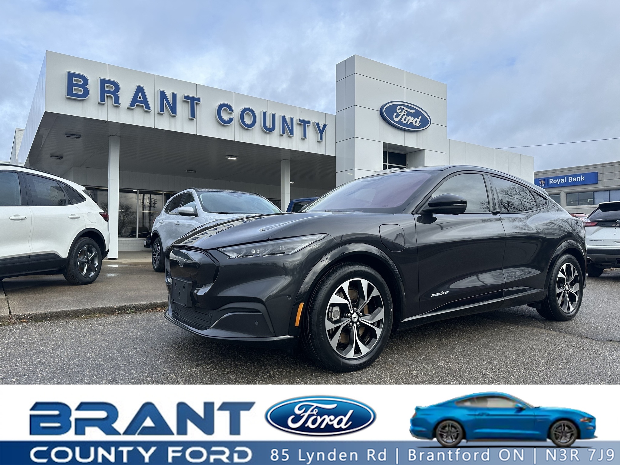 2022 Ford Mustang Mach-E