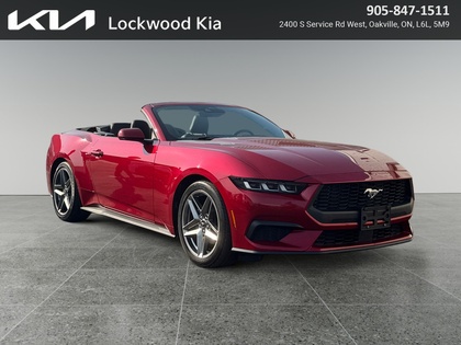 used 2024 Ford Mustang car, priced at $41,999