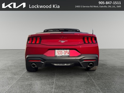 used 2024 Ford Mustang car, priced at $41,999