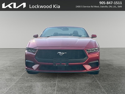 used 2024 Ford Mustang car, priced at $41,999