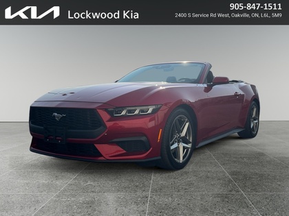 used 2024 Ford Mustang car, priced at $41,999