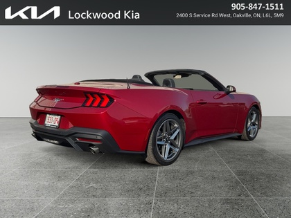 used 2024 Ford Mustang car, priced at $41,999