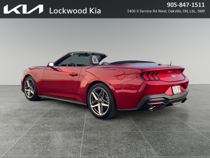 used 2024 Ford Mustang car, priced at $41,999