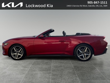 used 2024 Ford Mustang car, priced at $41,999