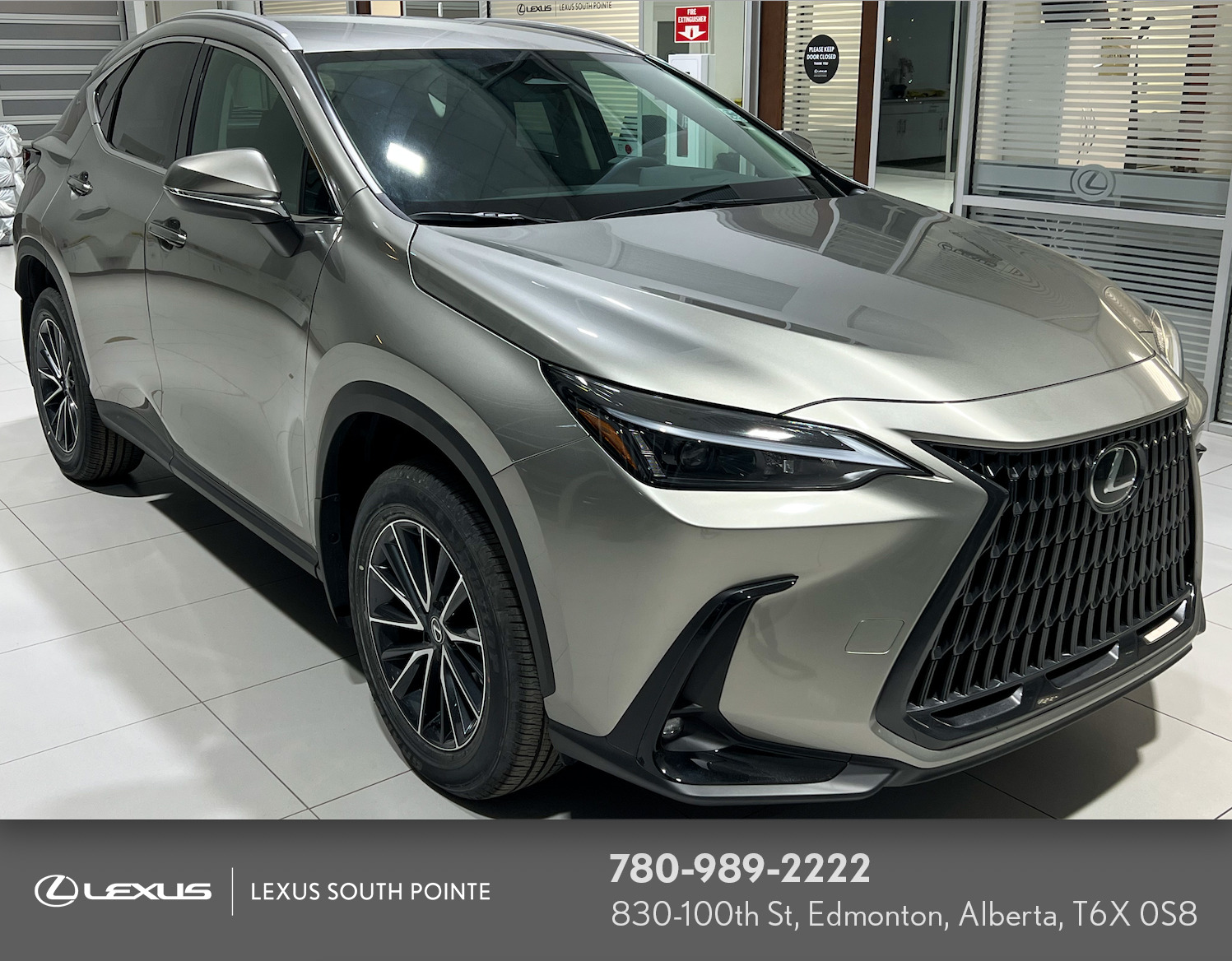 2025 Lexus NX