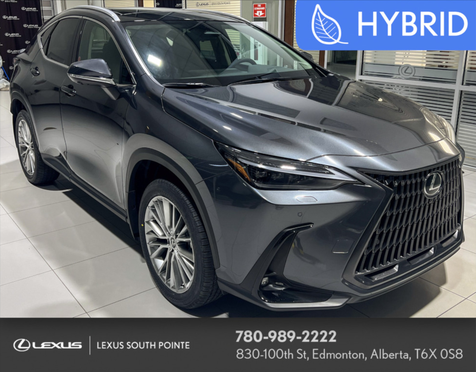 2025 Lexus NX 350h