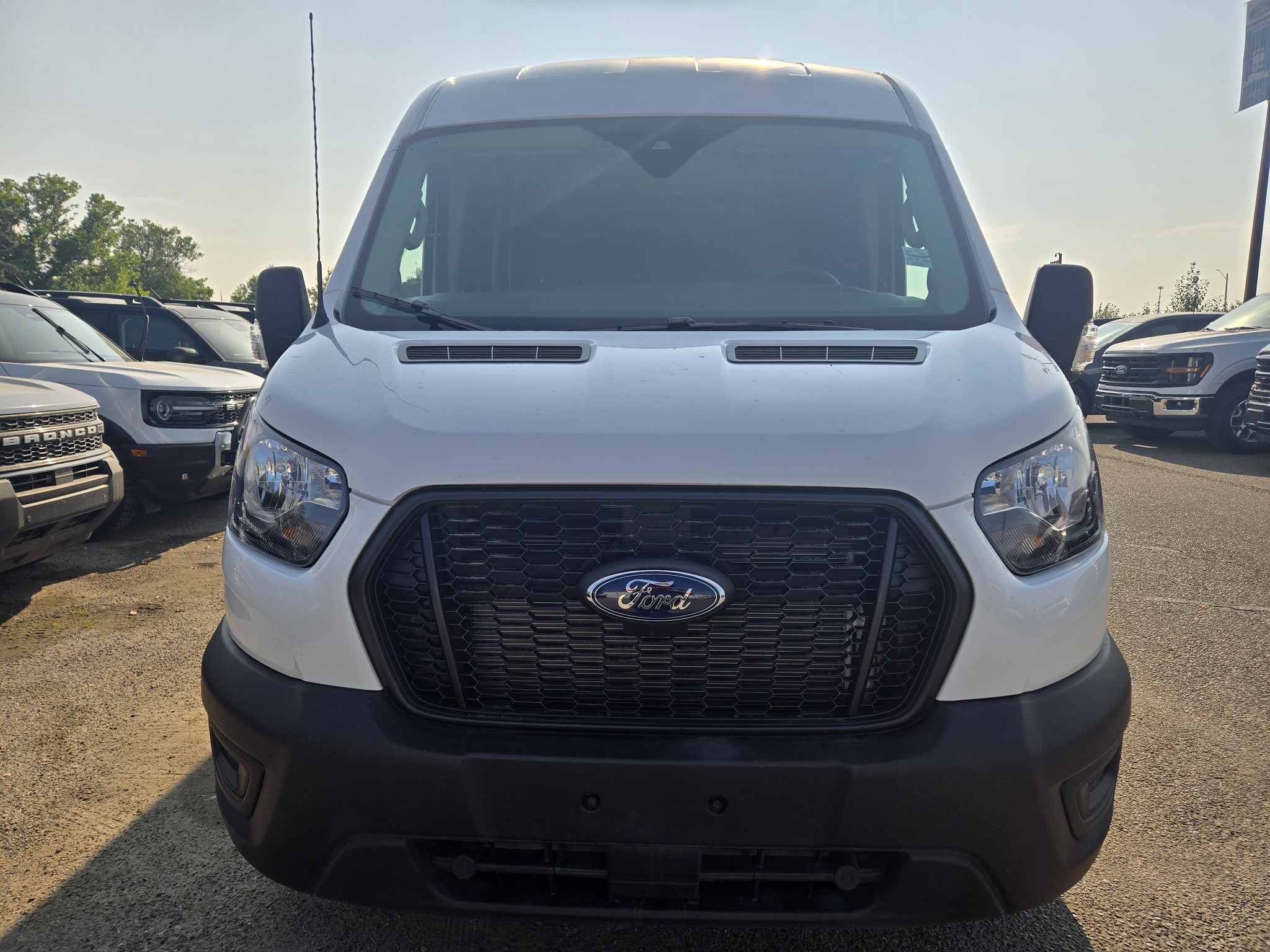 2025 Ford Transit Cargo Van