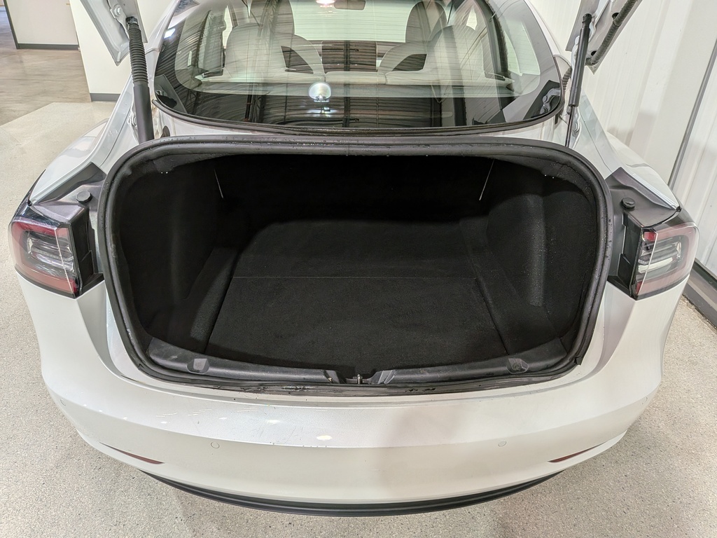 Tesla Model 3 2021 Tesla Model 3 2021