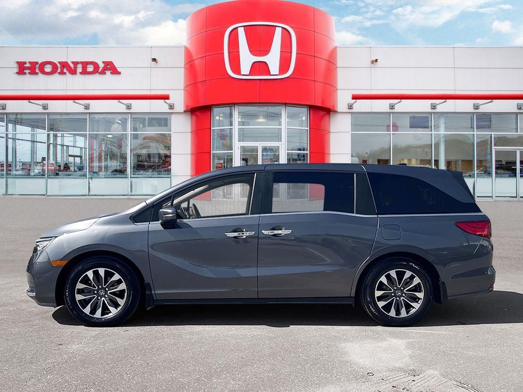 2024 Honda Odyssey
