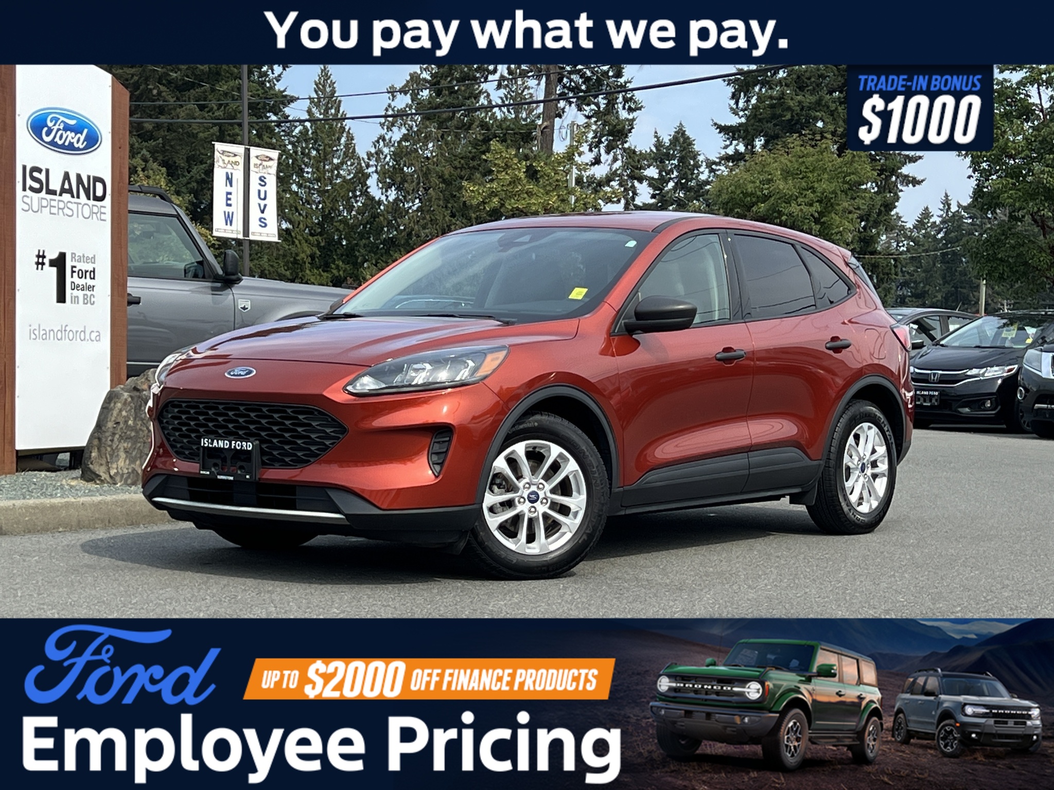 2020 Ford Escape