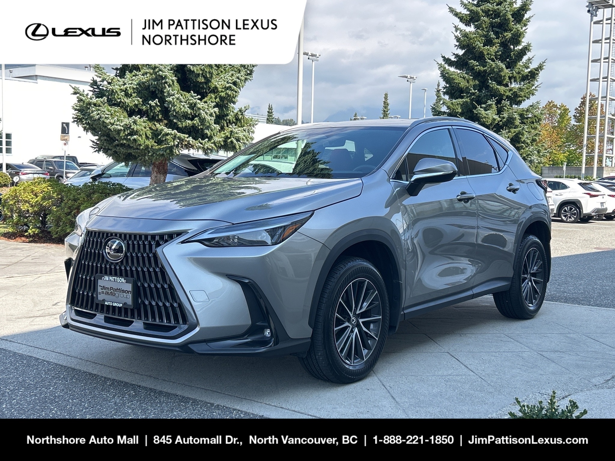 2024 Lexus NX