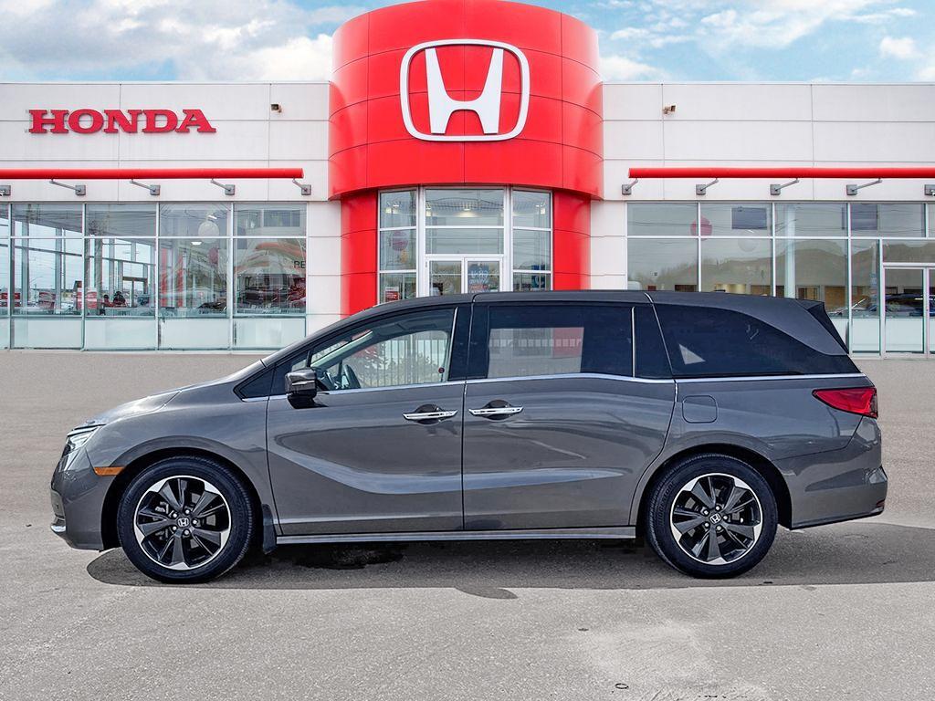 2023 Honda Odyssey