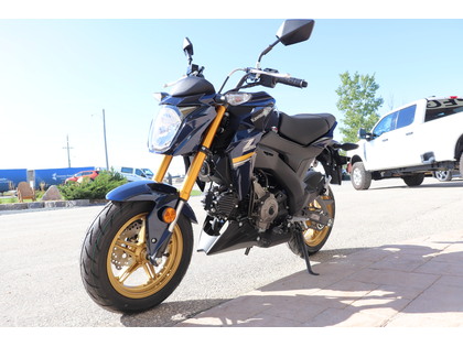 2023 Kawasaki Z125 PRO in Headingley - Winnipeg West Automotive
