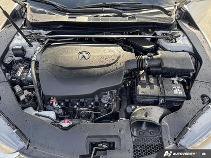 used 2019 Acura TLX car, priced at $30,999