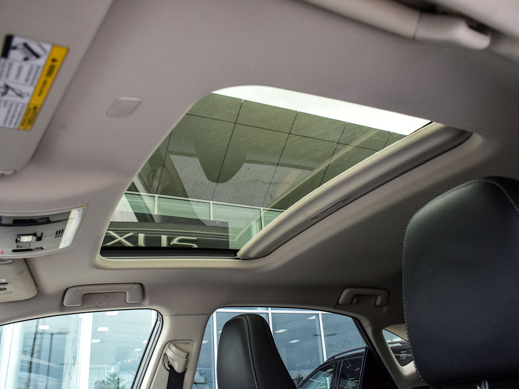 2021 Lexus NX 300 NX 300, 多伦多, 全款车