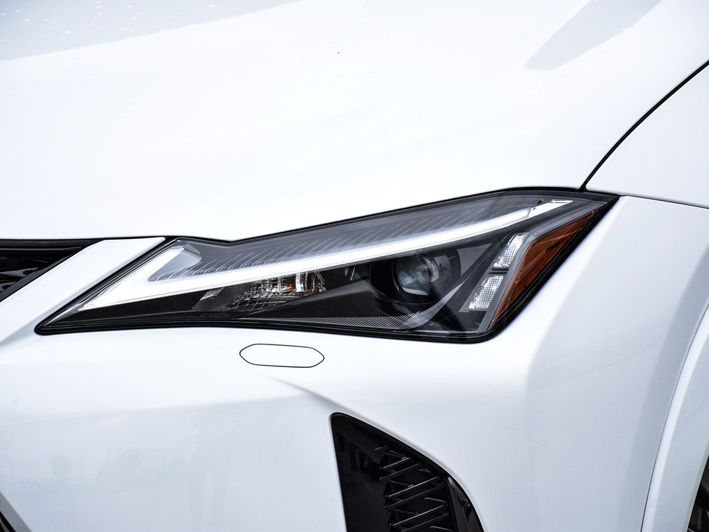 2025 Lexus UX 300h UX 300h, 多伦多, 全款车