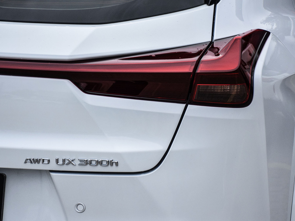2025 Lexus UX 300h UX 300h, 多伦多, 全款车