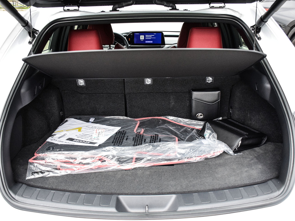 2025 Lexus UX 300h UX 300h, 多伦多, 全款车