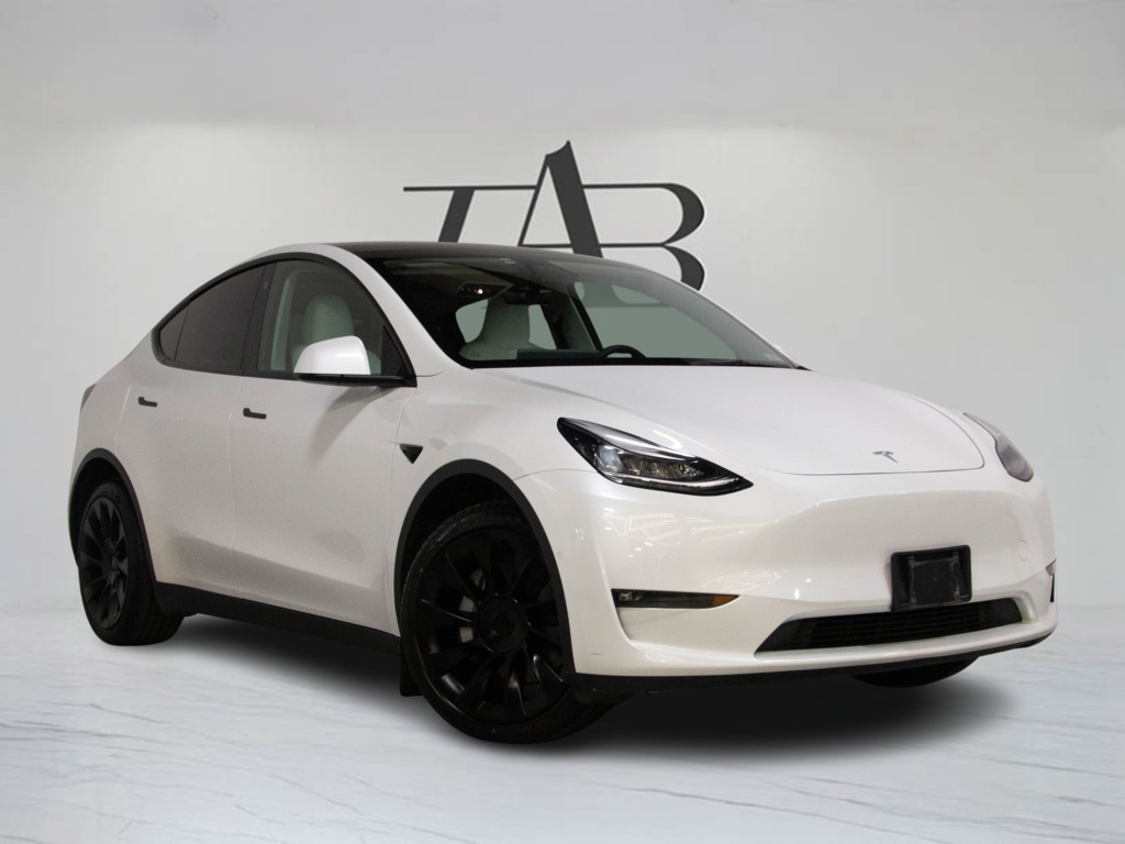 2021 Tesla Model Y Long Range, 多伦多, 全款车