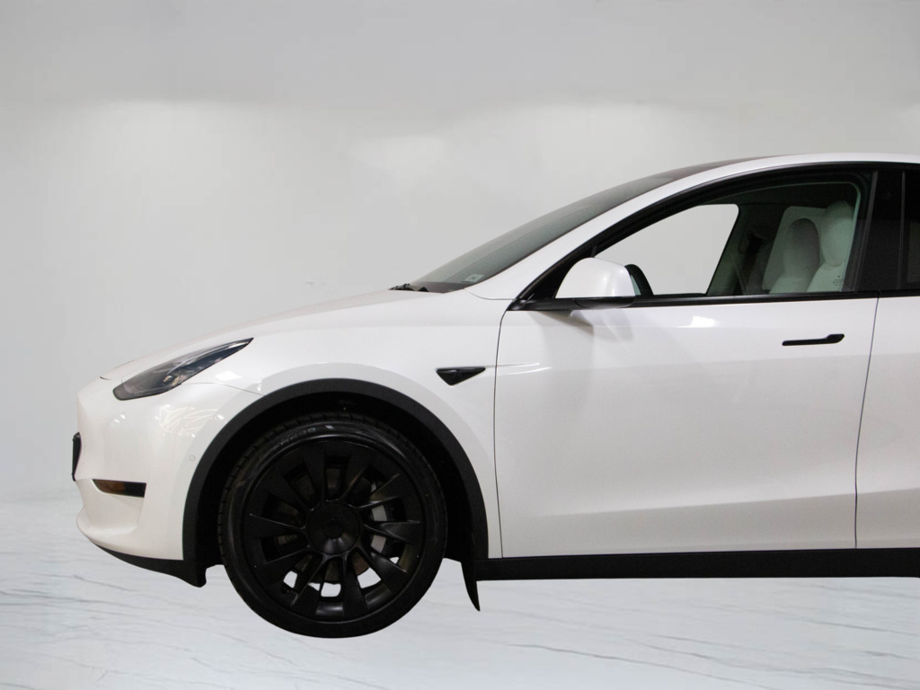 2021 Tesla Model Y Long Range, 多伦多, 全款车