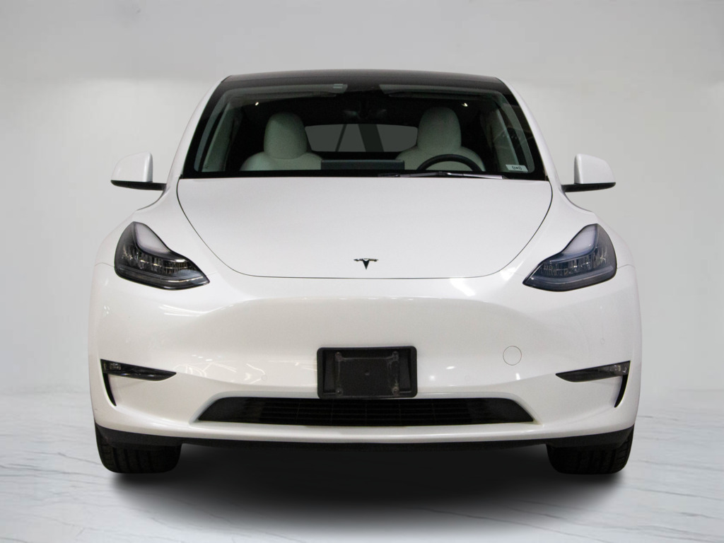 2021 Tesla Model Y Long Range, 多伦多, 全款车