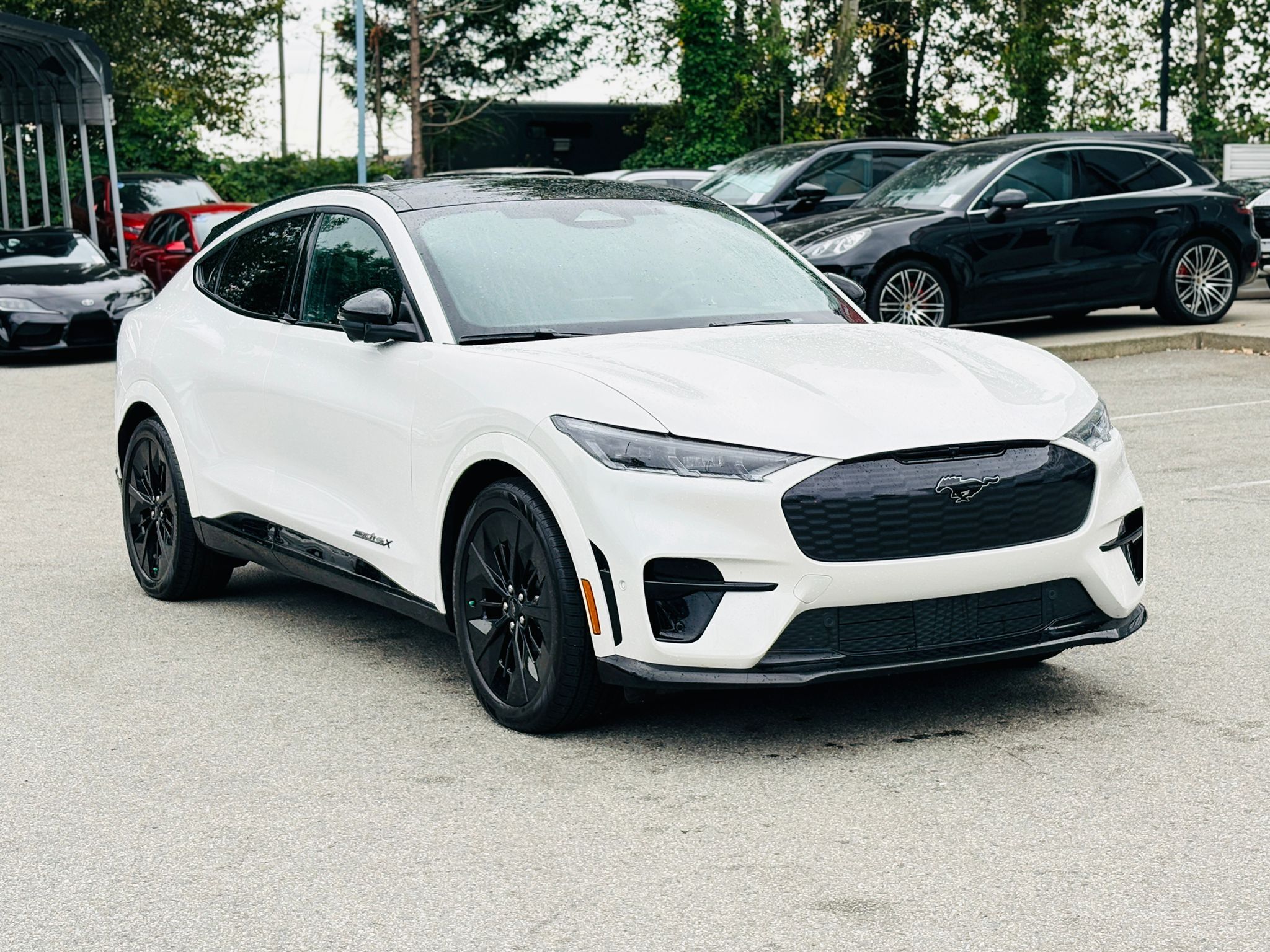 2022 Ford Mustang Mach-E