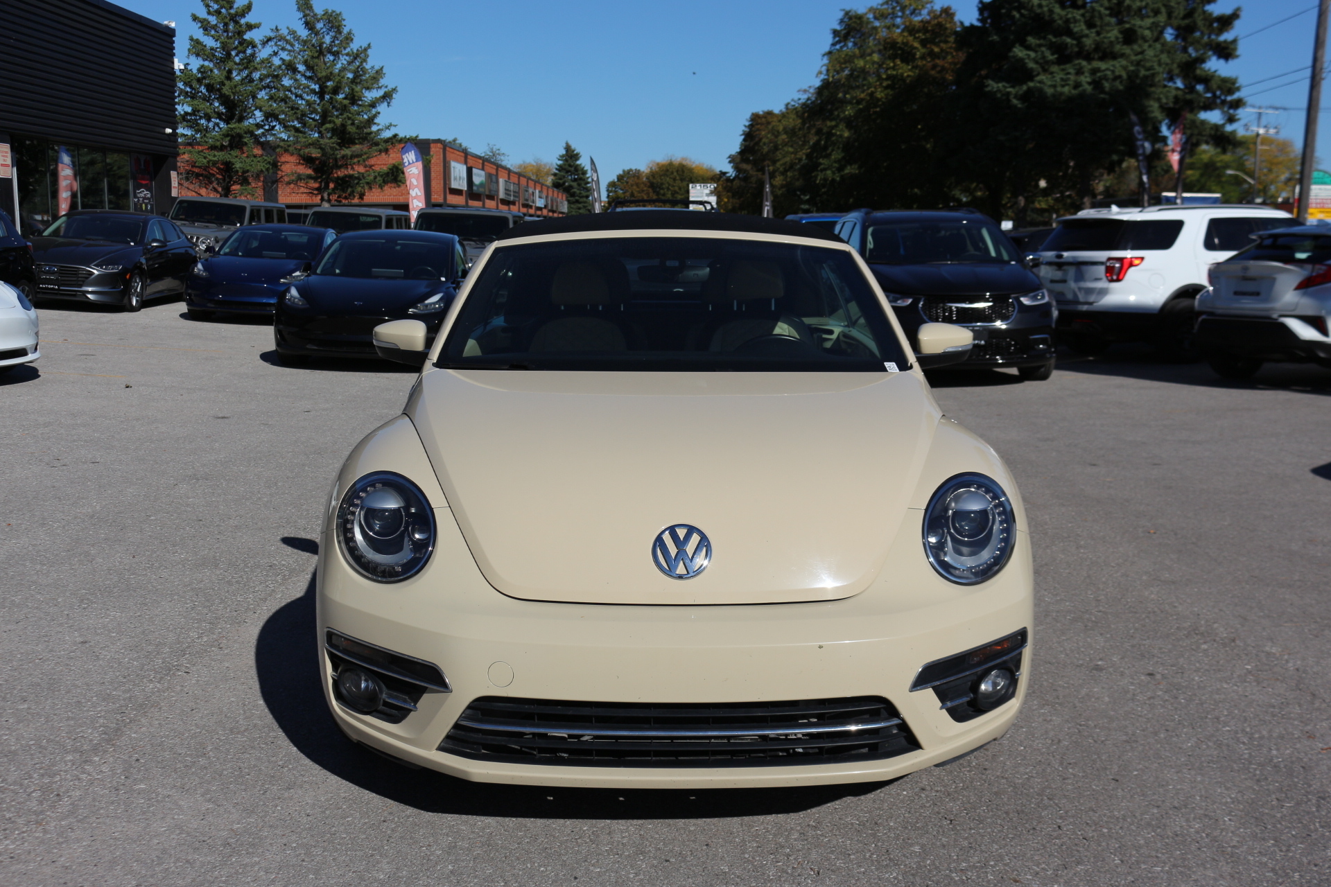 2019 Volkswagen Beetle Convertible