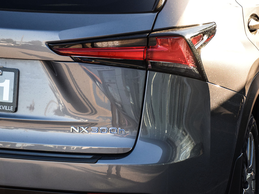 2021 Lexus NX 300h NX 300h, Toronto, Cash