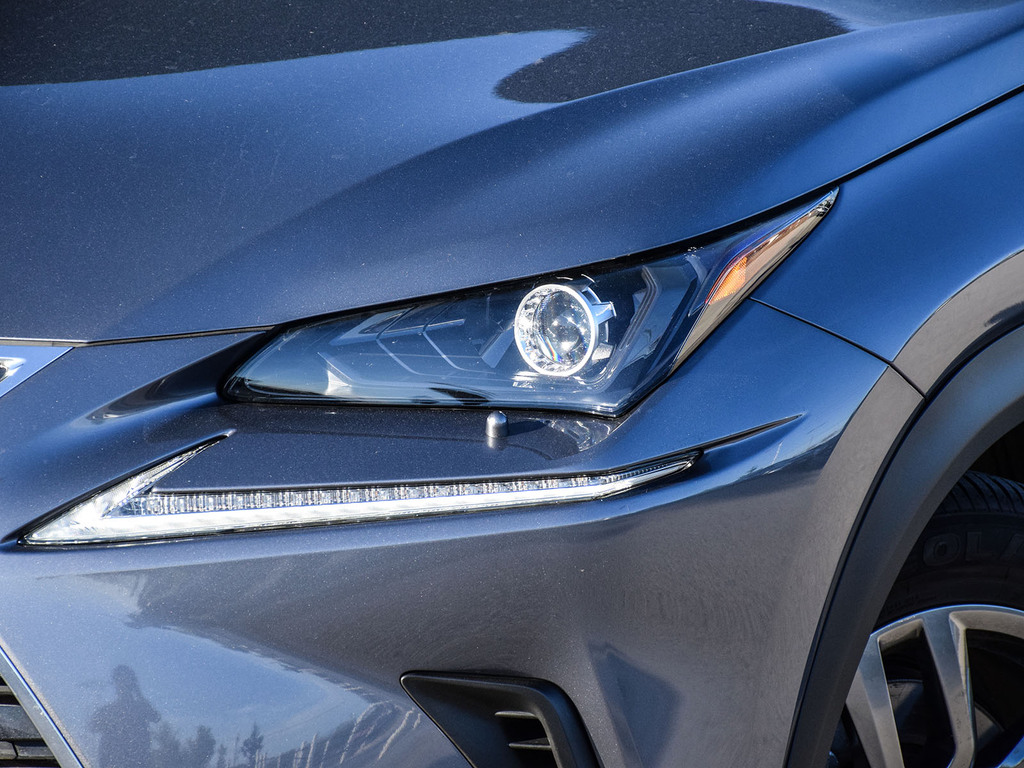 2021 Lexus NX 300h NX 300h, Toronto, Cash