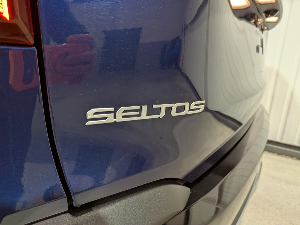 Kia Seltos 2024 Kia Seltos 2024