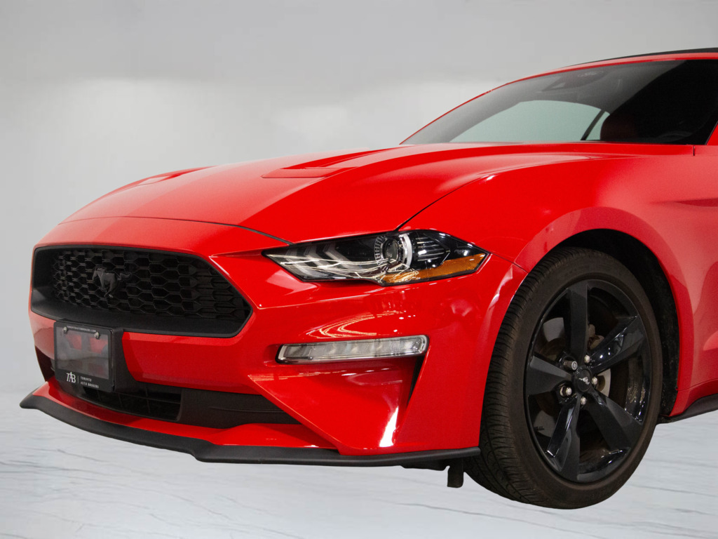 2022 Ford Mustang EcoBoost Premium, Toronto, Cash