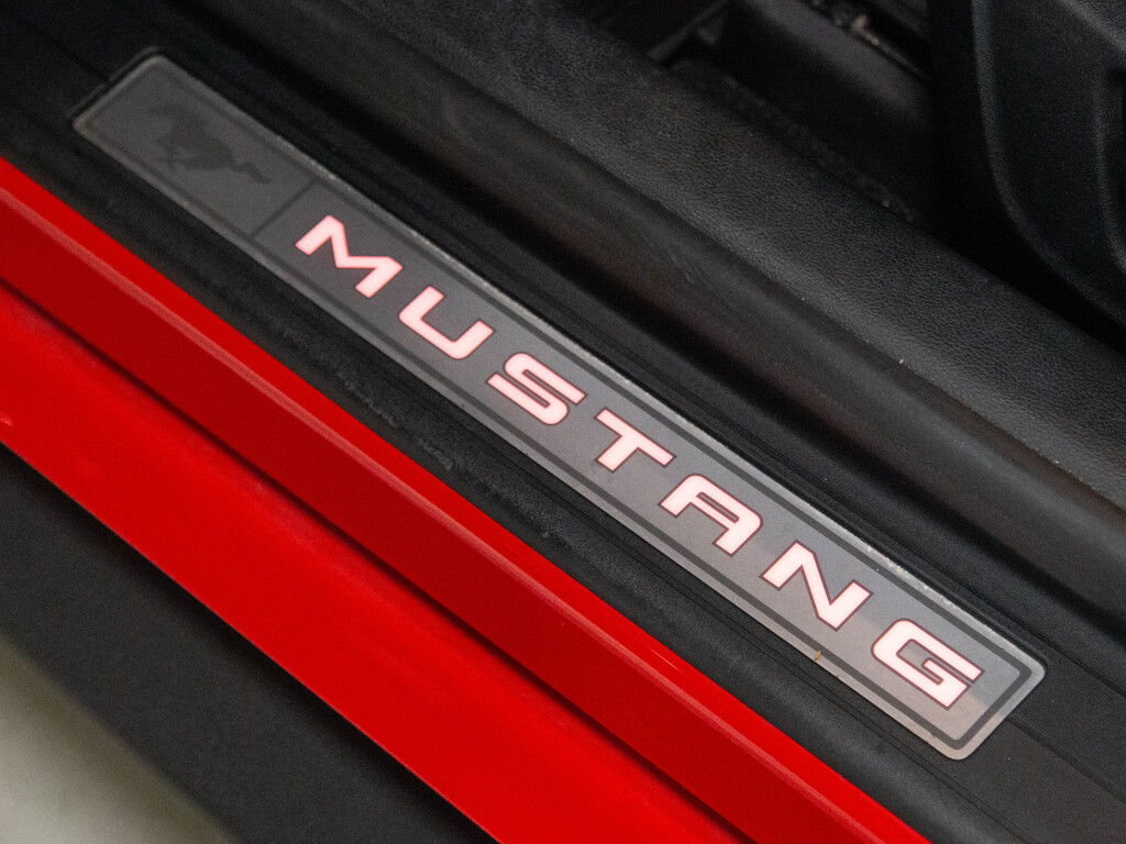 2022 Ford Mustang EcoBoost Premium, Toronto, Cash