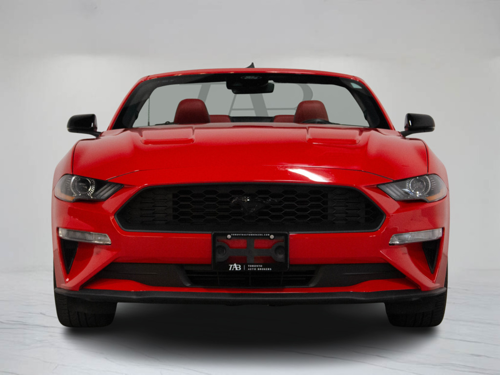 2022 Ford Mustang EcoBoost Premium, Toronto, Cash