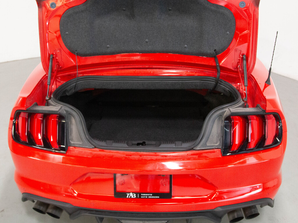 2022 Ford Mustang EcoBoost Premium, Toronto, Cash