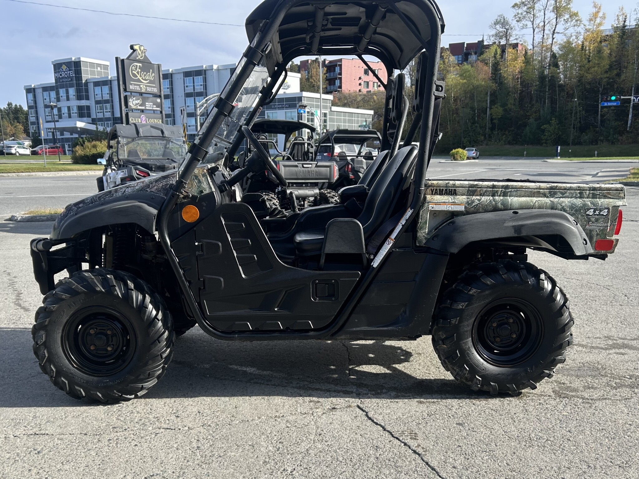 2009 Yamaha Rhino