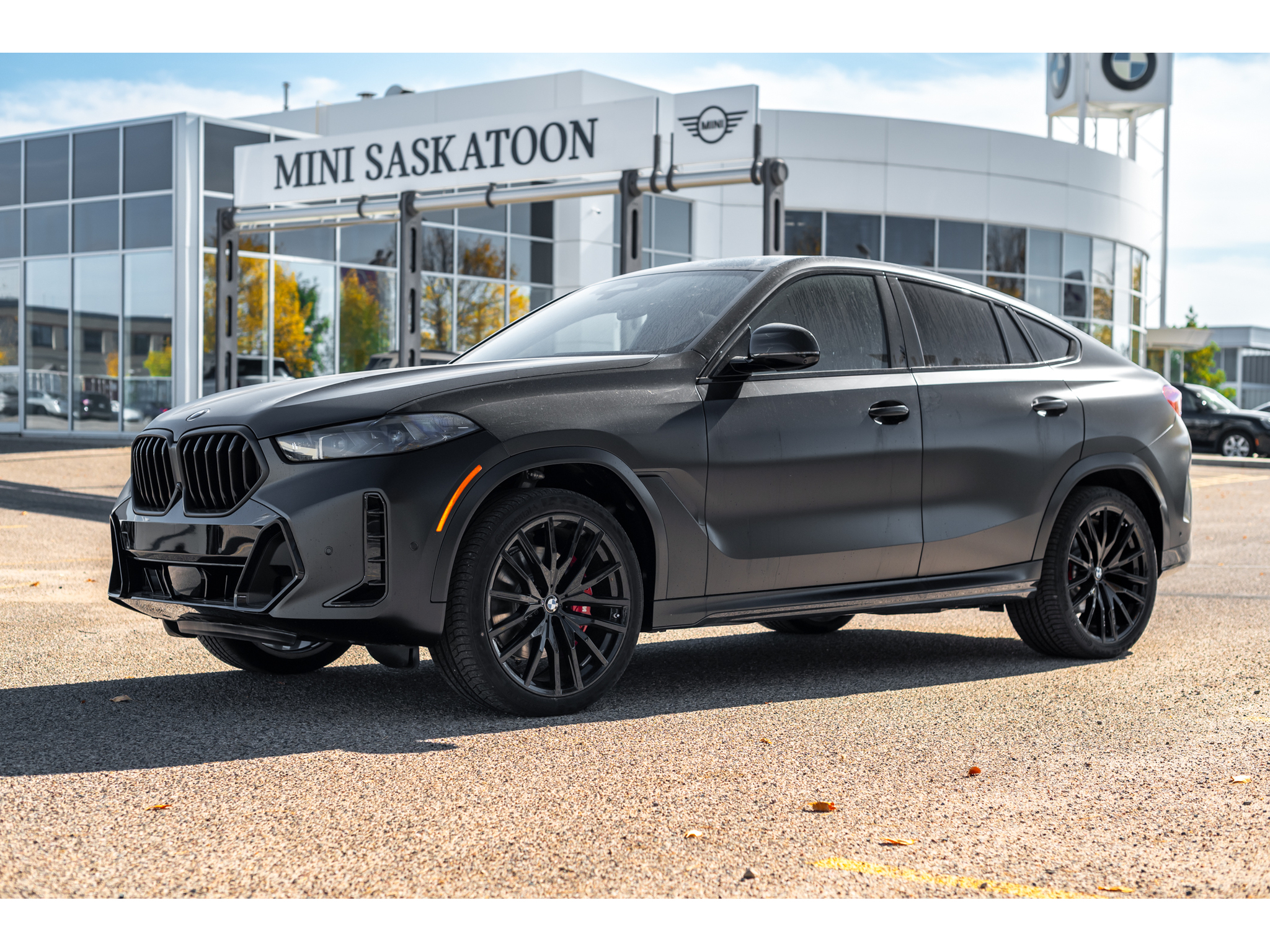 2026 BMW X6