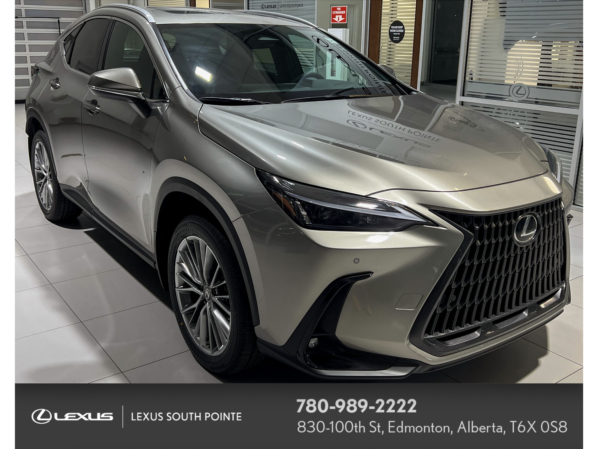 2026 Lexus NX 350